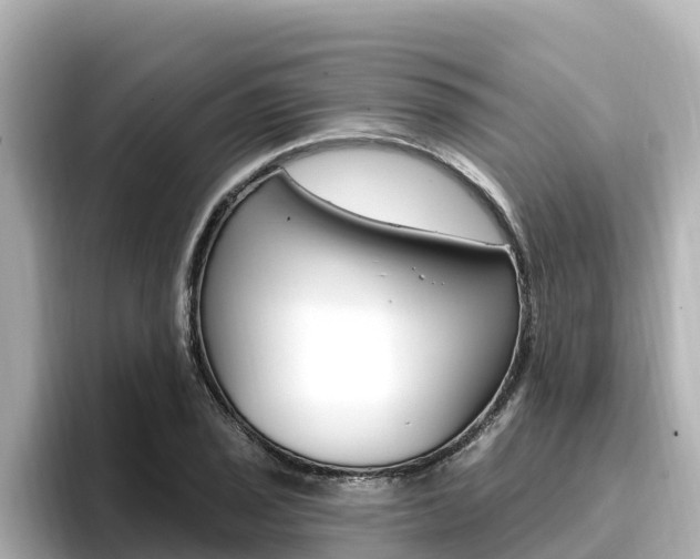 X0000096681029200802051026