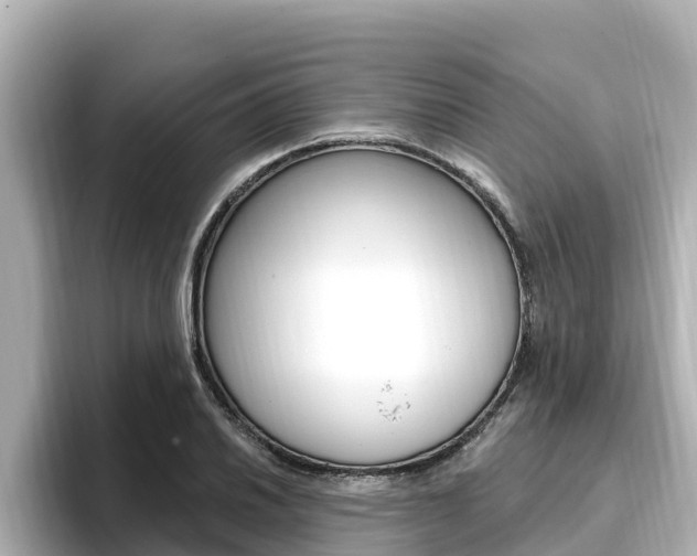 X0000096681030200802051026