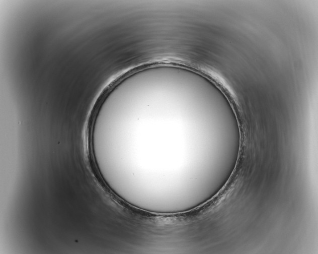 X0000096681032200802051026