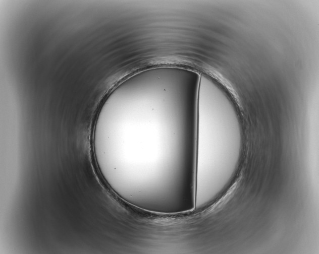X0000096681033200802051026