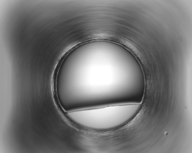 X0000096681034200802051026
