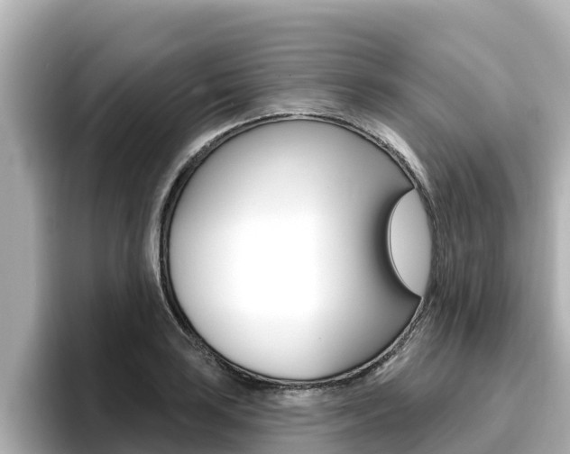 X0000096681035200802051026