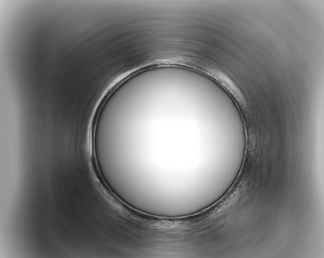 X0000096681036200802051026