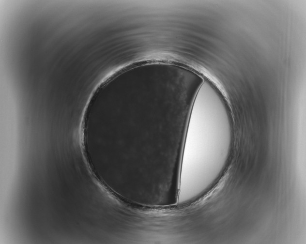 X0000096681037200802051026