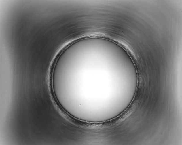 X0000096681038200802051026