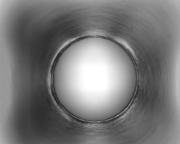 X0000096681040200802051026