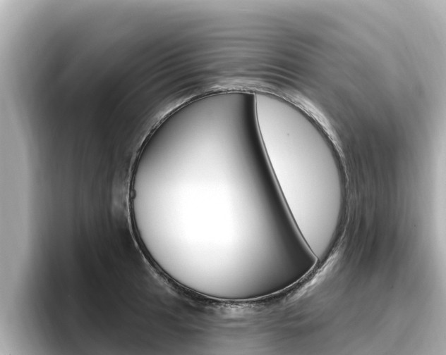 X0000096681041200802051026