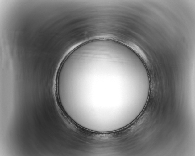 X0000096681044200802051026