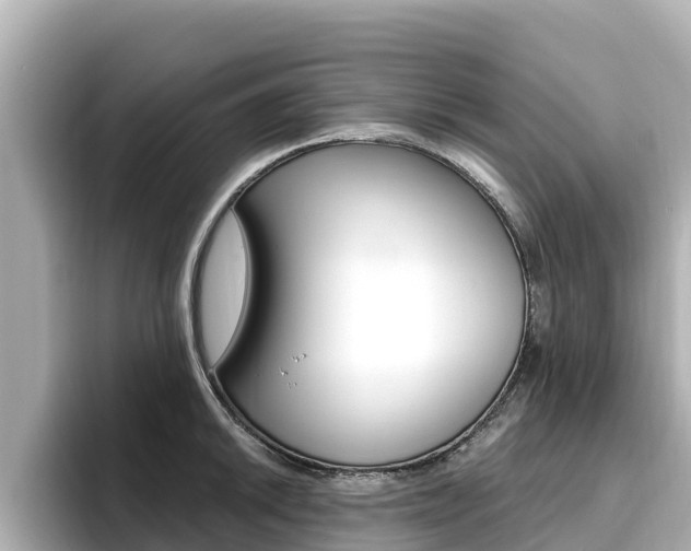 X0000096681046200802051026