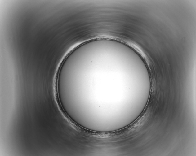 X0000096681048200802051026
