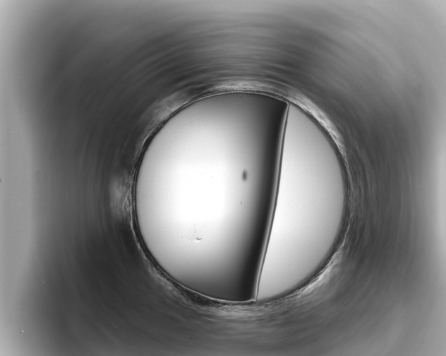 X0000096681049200802051026