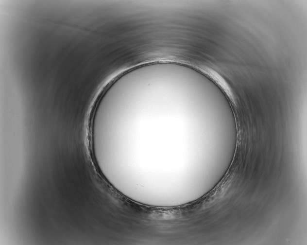 X0000096681051200802051026