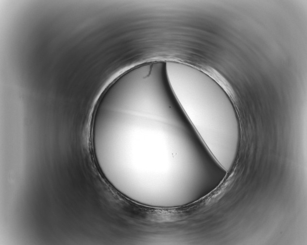 X0000096681052200802051026