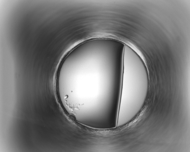 X0000096681053200802051026