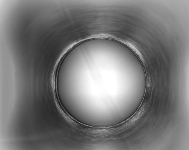 X0000096681054200802051026