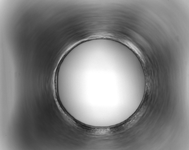 X0000096681055200802051026
