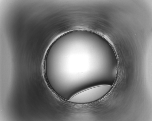 X0000096681056200802051026