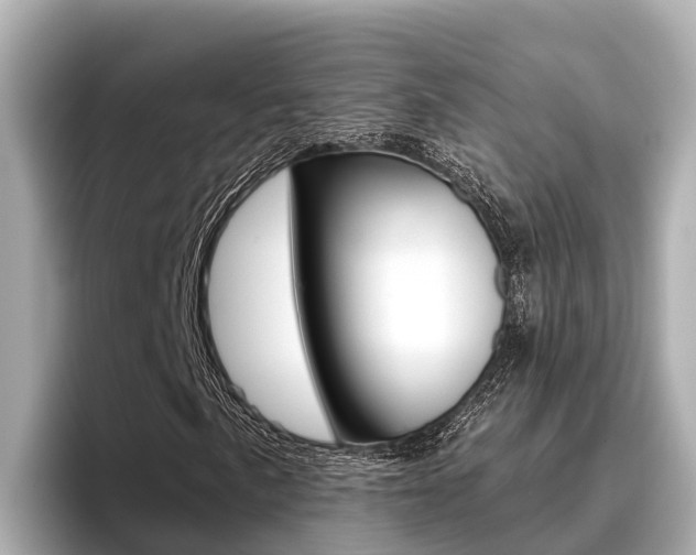 X0000096681057200802051025