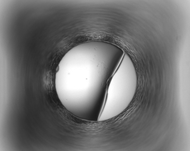 X0000096681058200802051025
