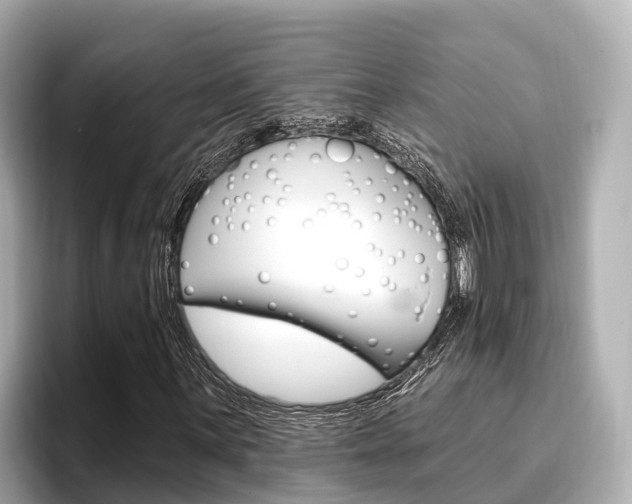 X0000096681059200802051025