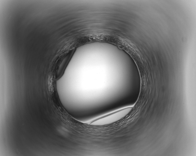 X0000096681060200802051025