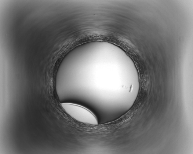 X0000096681061200802051025