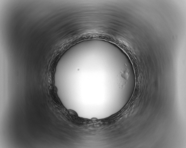 X0000096681062200802051025