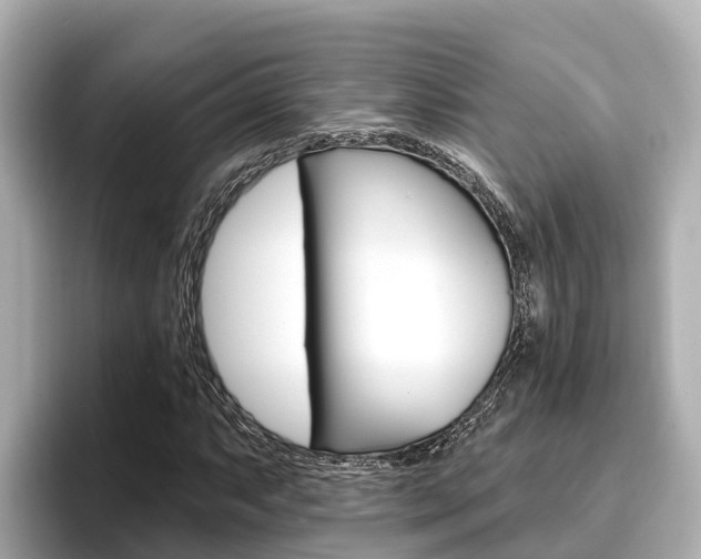 X0000096681063200802051025
