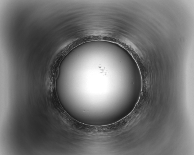 X0000096681064200802051025