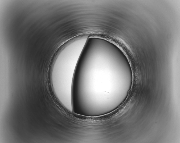 X0000096681065200802051025