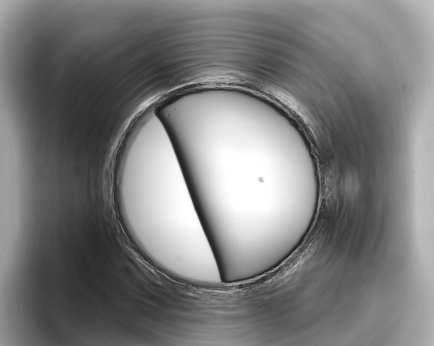 X0000096681067200802051025