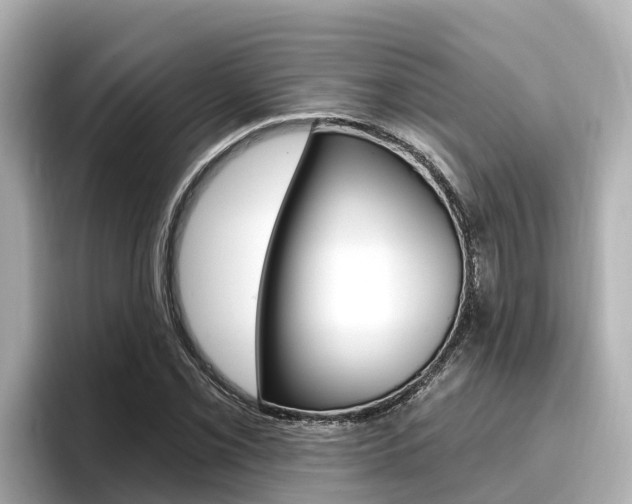 X0000096681069200802051025