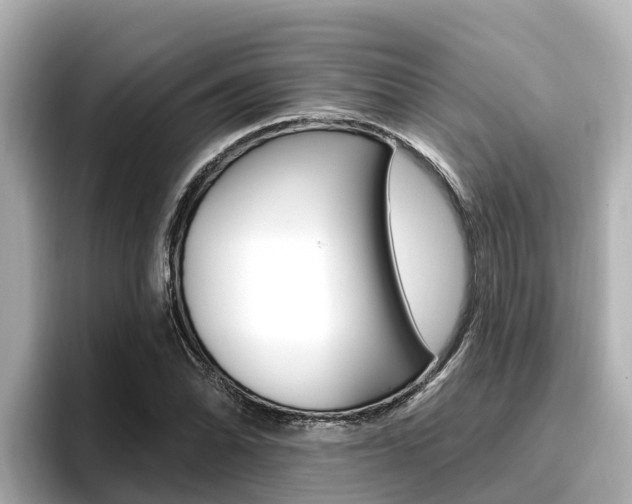 X0000096681070200802051025