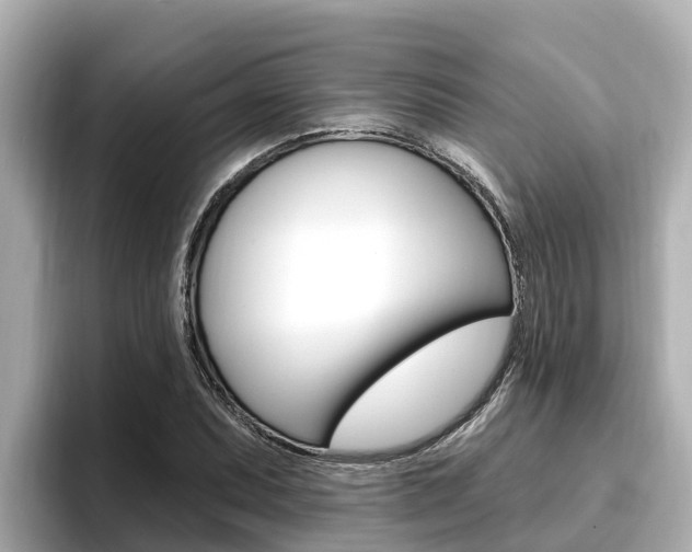 X0000096681071200802051025