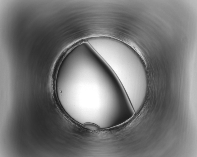 X0000096681072200802051025