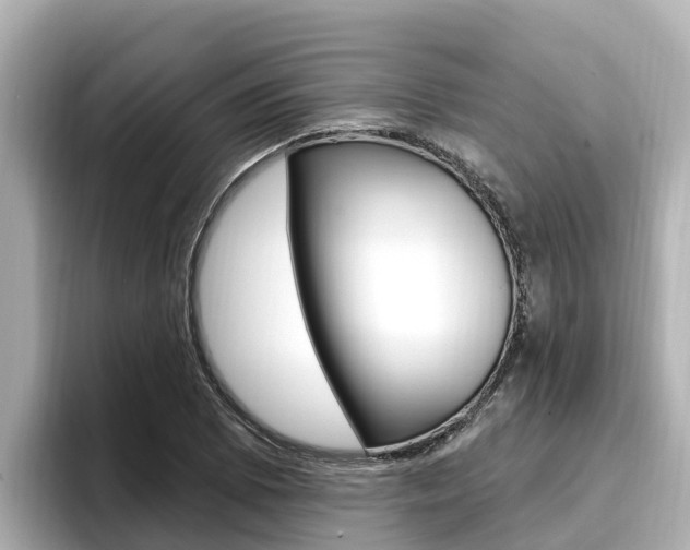 X0000096681073200802051025