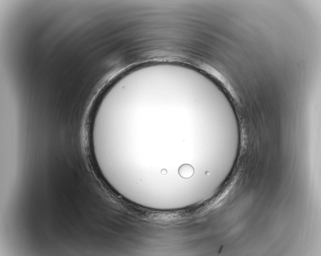 X0000096681074200802051025