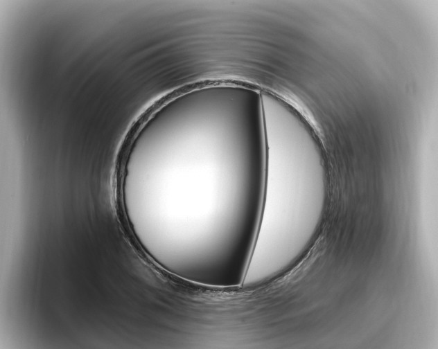 X0000096681076200802051025
