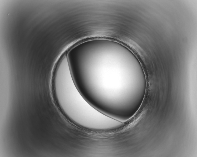 X0000096681077200802051025