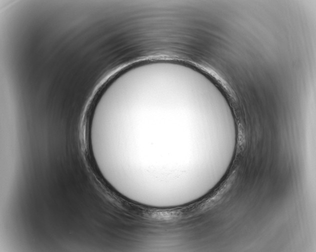 X0000096681078200802051025