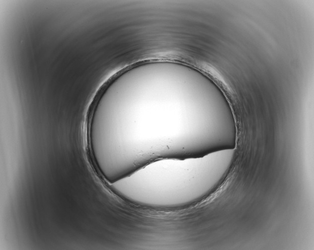 X0000096681079200802051025