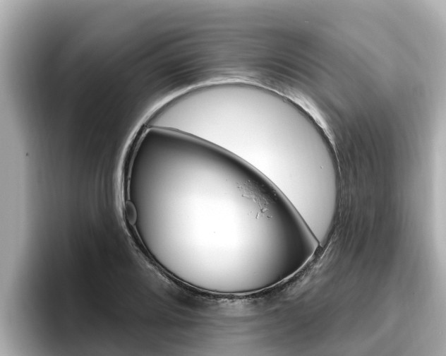 X0000096681080200802051025