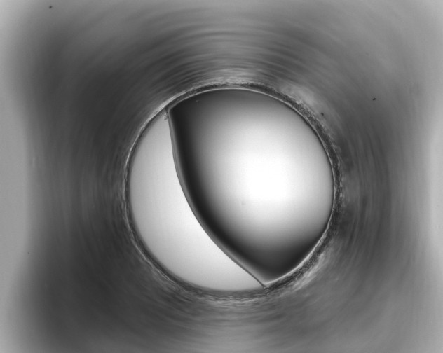 X0000096681081200802051025