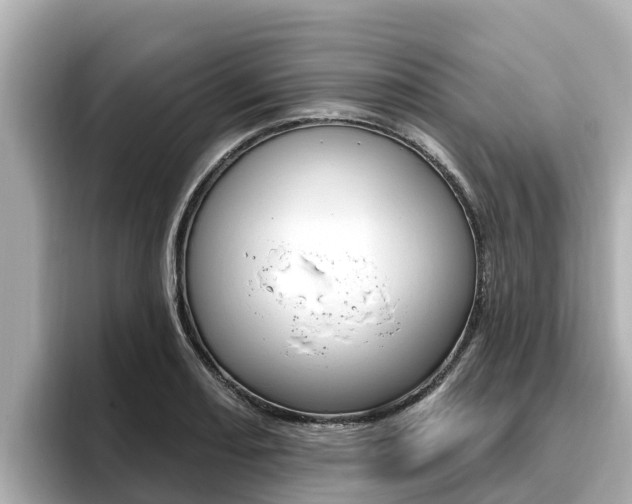 X0000096681082200802051025