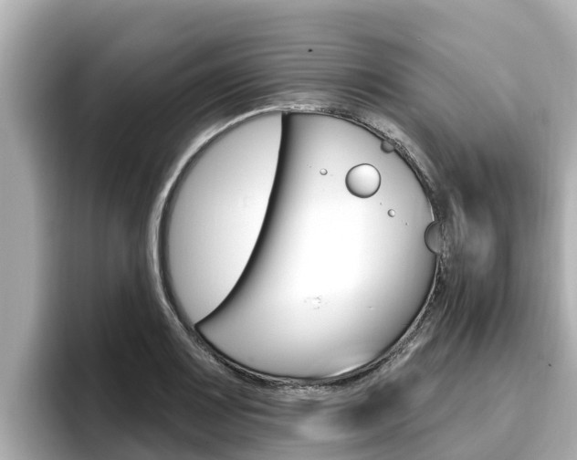 X0000096681083200802051025
