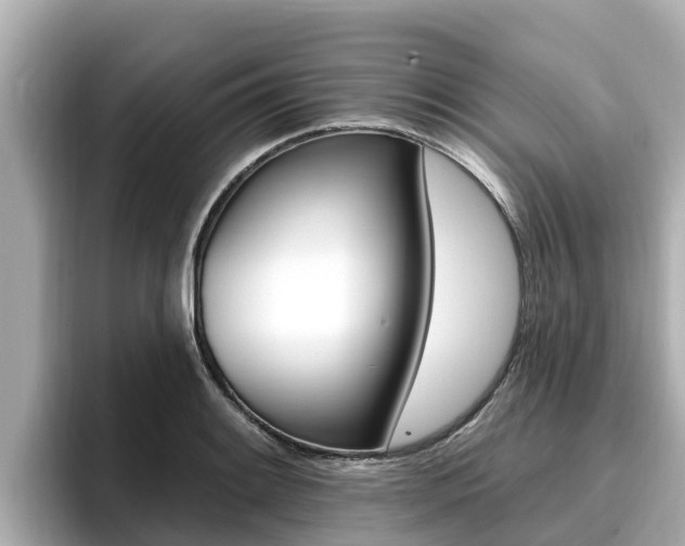 X0000096681084200802051025