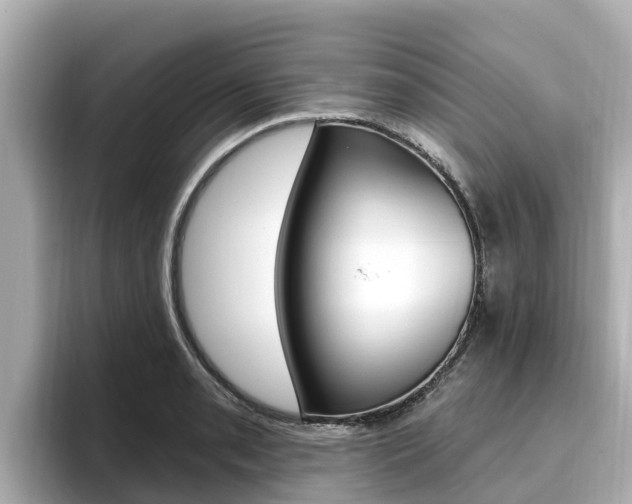 X0000096681085200802051025