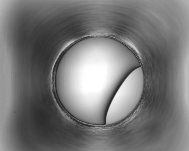X0000096681087200802051025