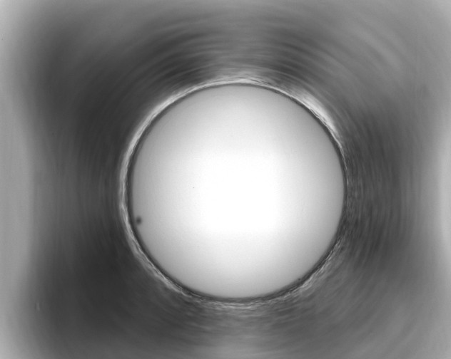 X0000096681088200802051025