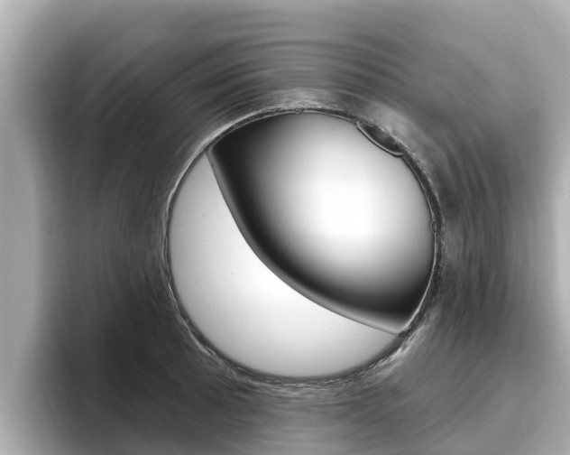 X0000096681089200802051025